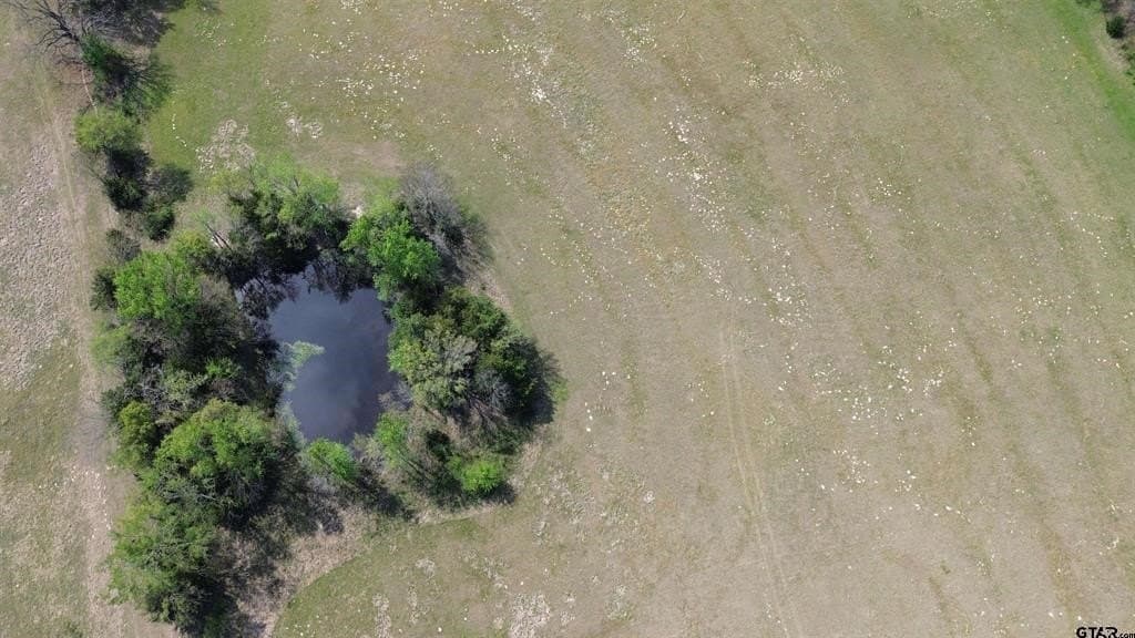 18.35 acres in Camp County - photo 8