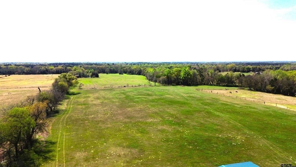 18.35 acres in Camp County - photo 2