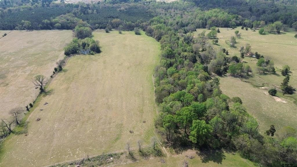 18.35 acres in Camp County - photo 9