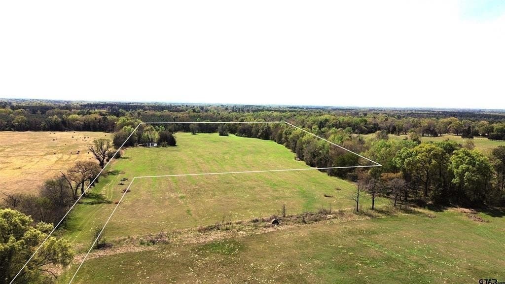 18.35 acres in Camp County - photo 5