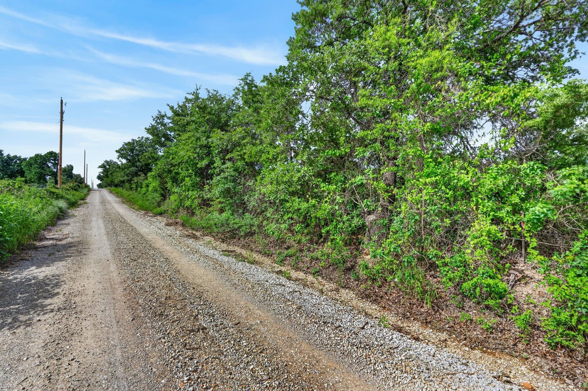 6.63 acres in Palo Pinto County gallery image 3