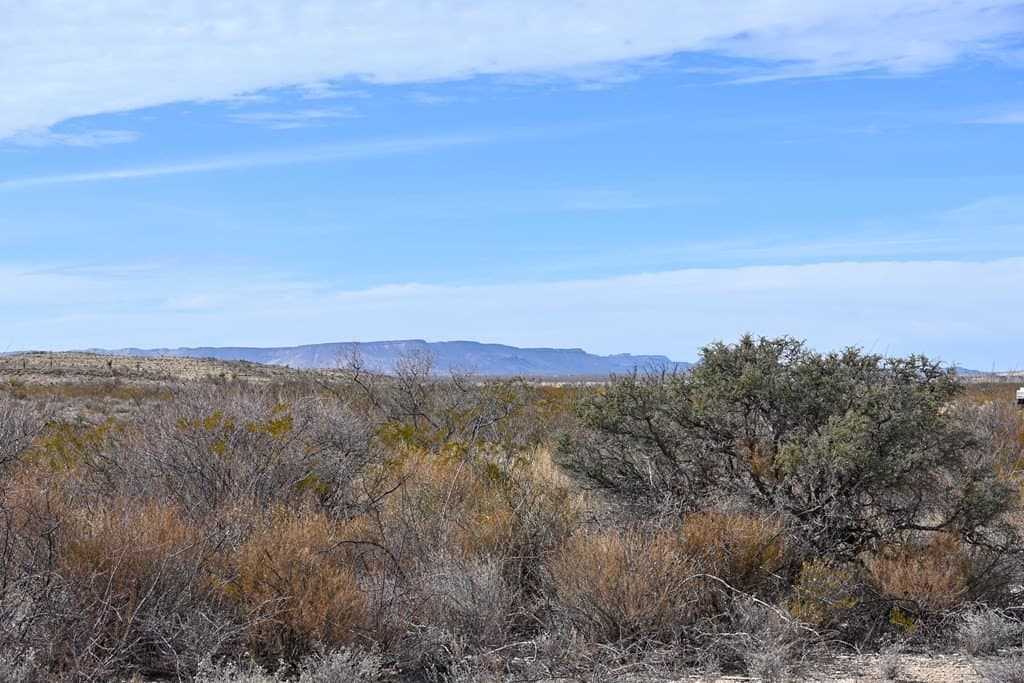 20 acres in Brewster County gallery image 4