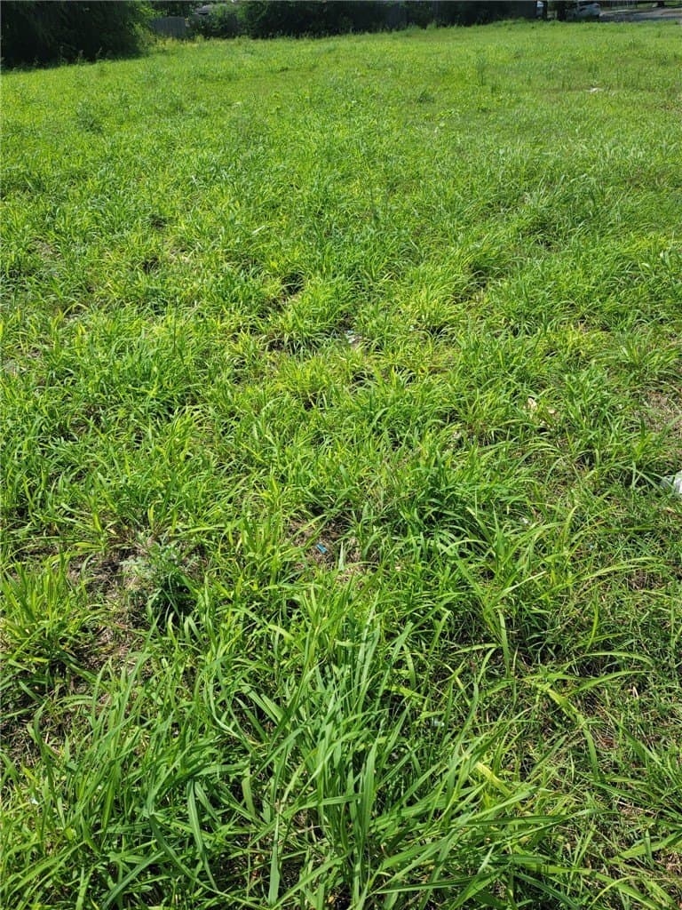0.35 acres in Nueces County gallery image 2