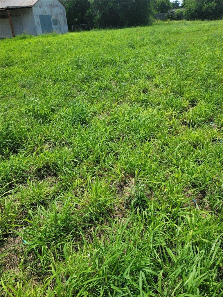 0.35 acres in Nueces County gallery image 3