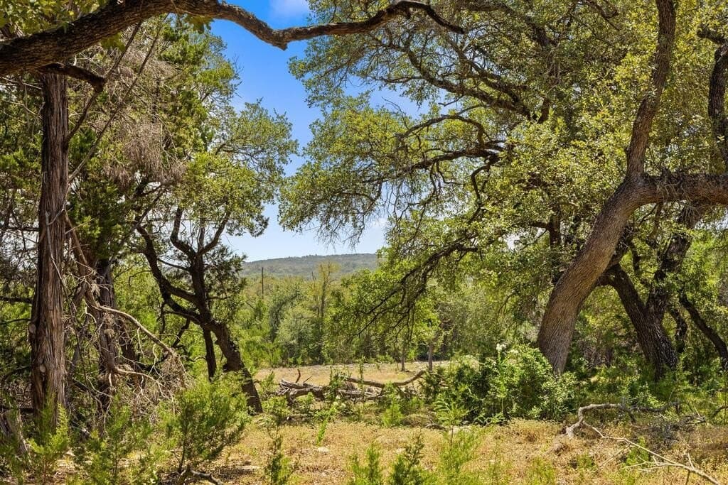60.61 acres in Comal County - photo 43