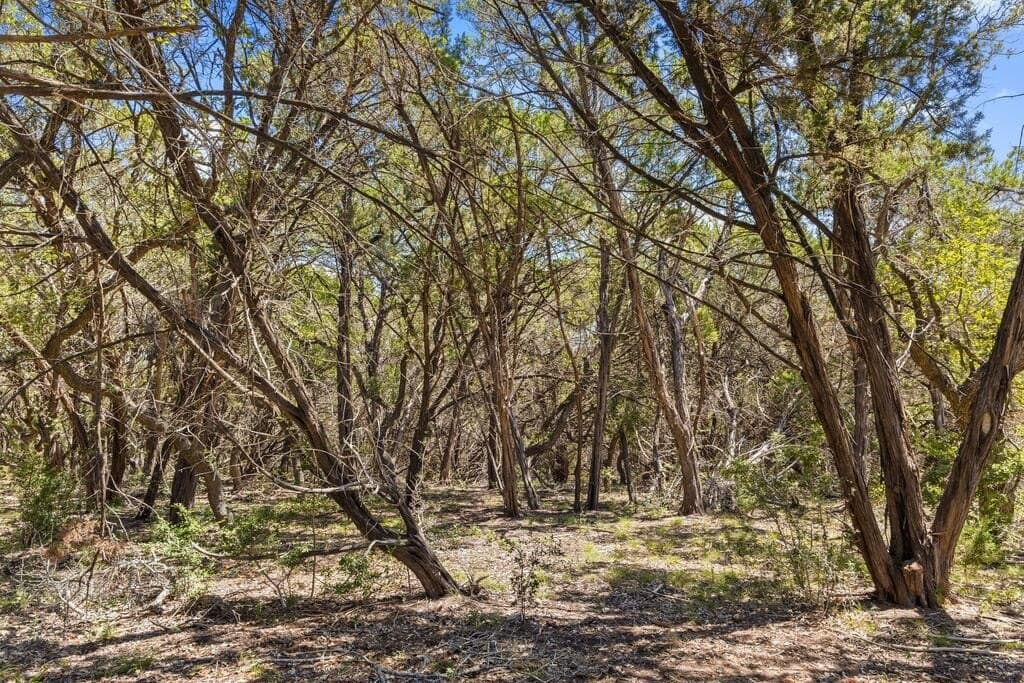 60.61 acres in Comal County - photo 44