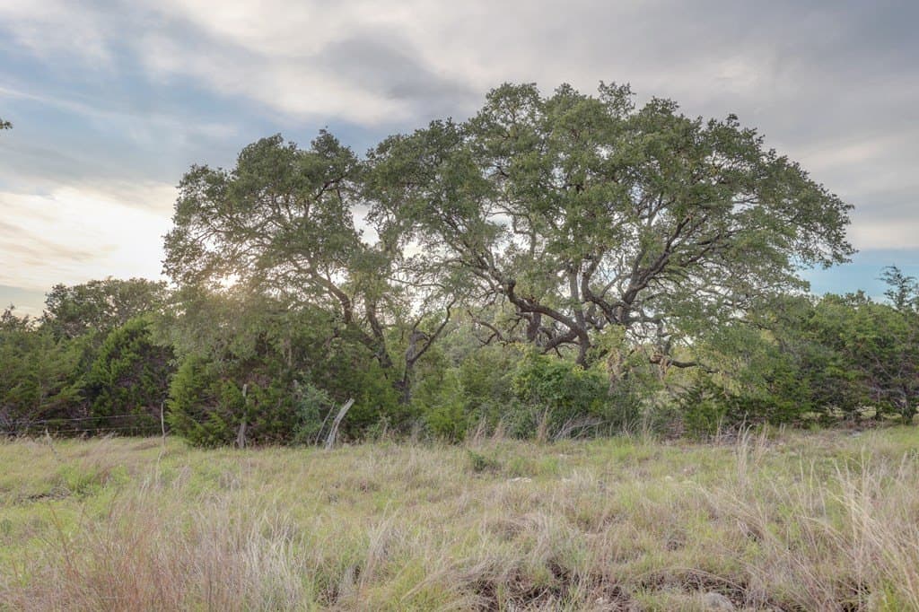 106 acres in Kerr County - photo 8
