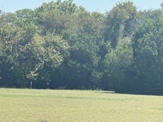 1.85 acres in Hill County - photo 3