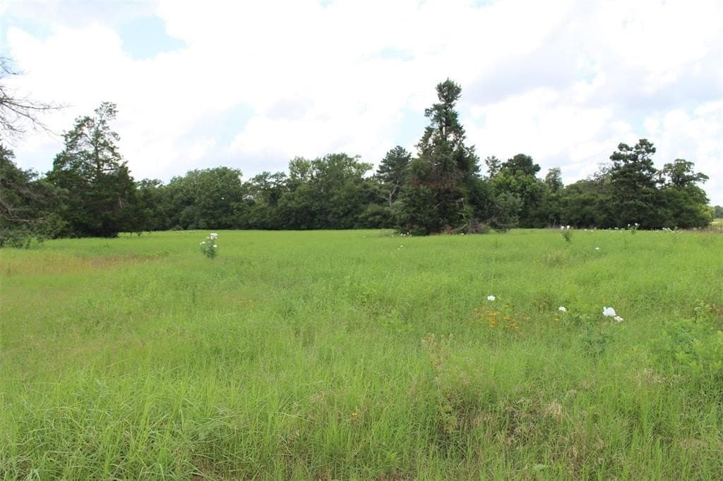 25.13 acres in Leon County featured view