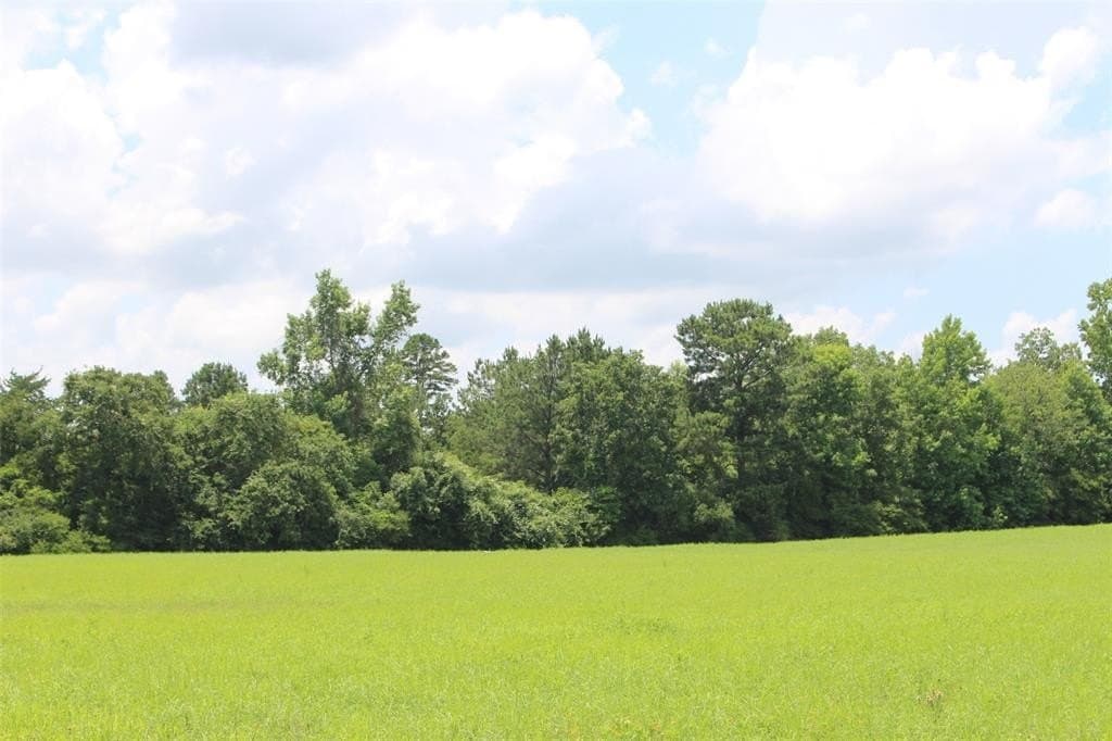 25.13 acres in Leon County gallery image 4