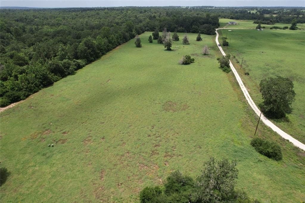 25.13 acres in Leon County gallery image 2