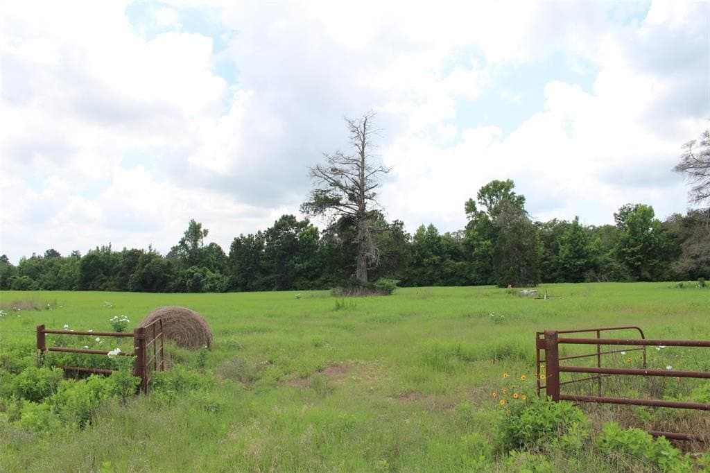 25.13 acres in Leon County gallery image 3