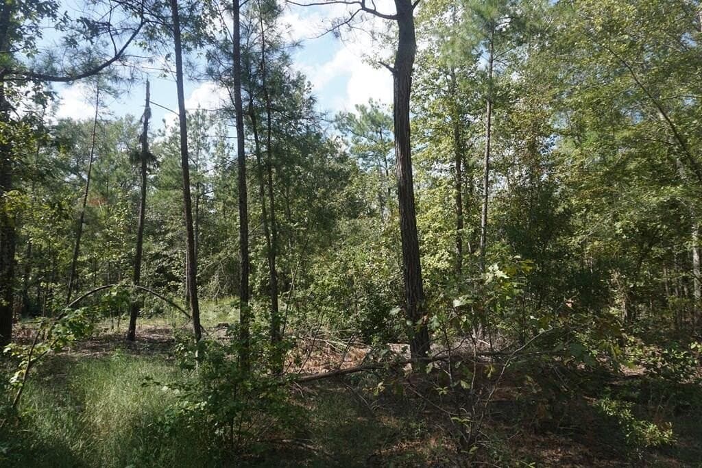 51.72 acres in ANDERSON County - photo 14