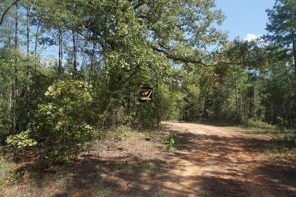 51.72 acres in ANDERSON County - photo 12