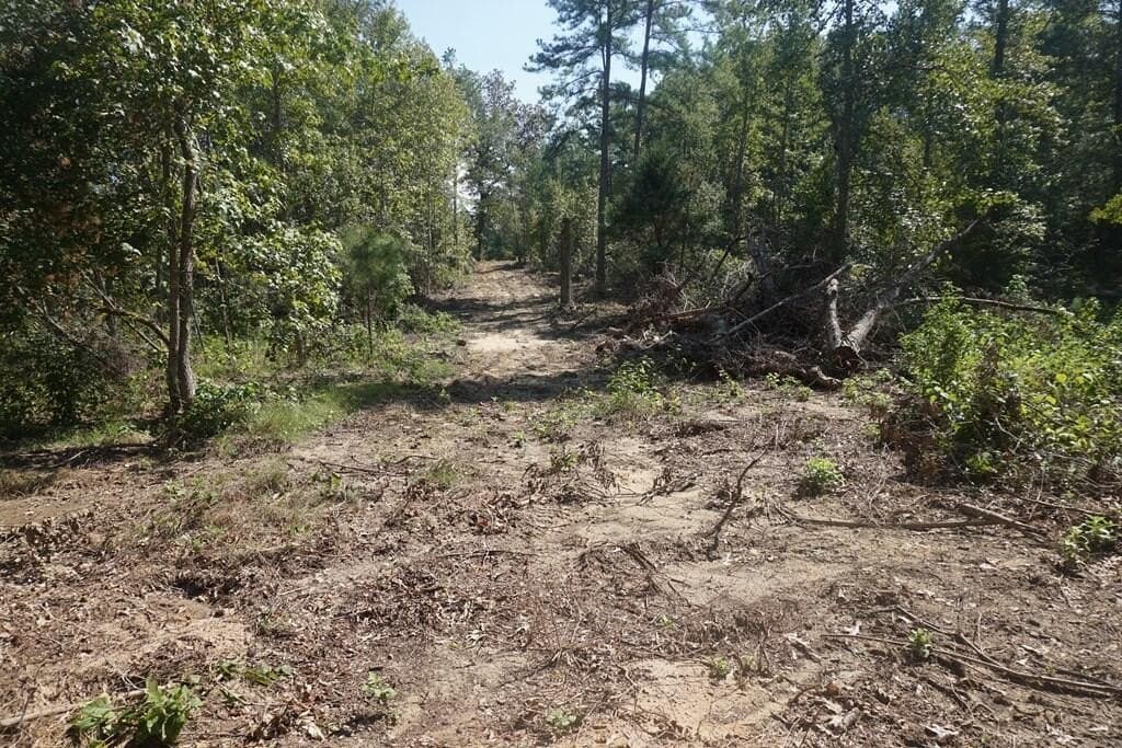 51.72 acres in ANDERSON County - photo 6