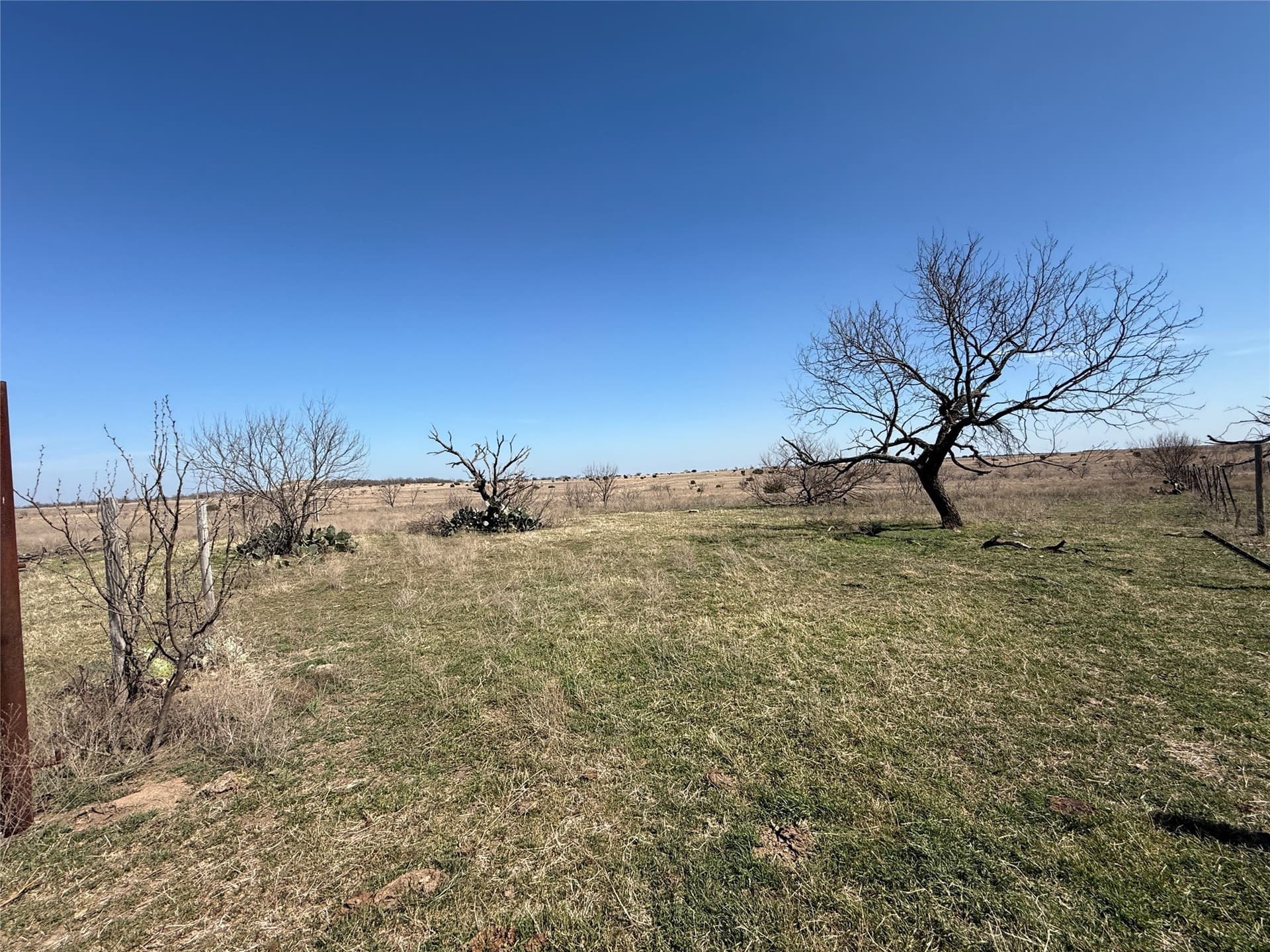 46 acres in Hamilton County - photo 14