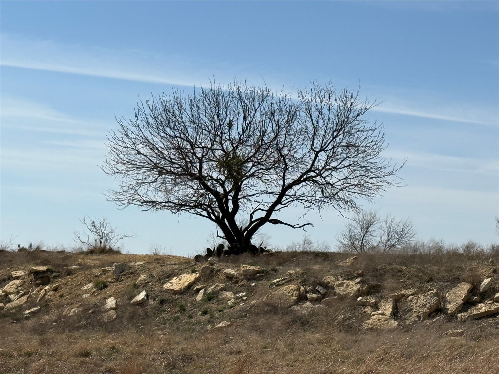 46 acres in Hamilton County - photo 29