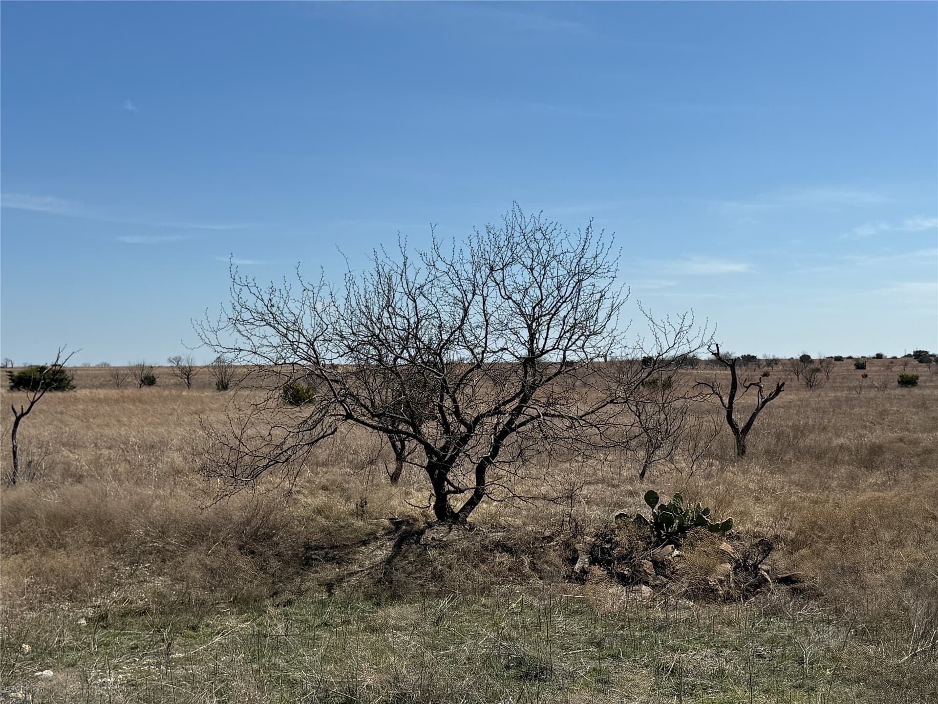 46 acres in Hamilton County - photo 21