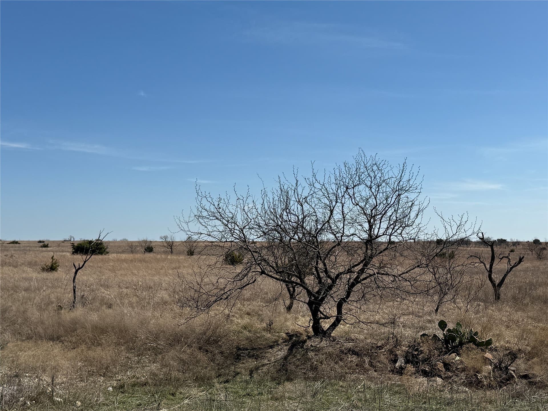 46 acres in Hamilton County - photo 18