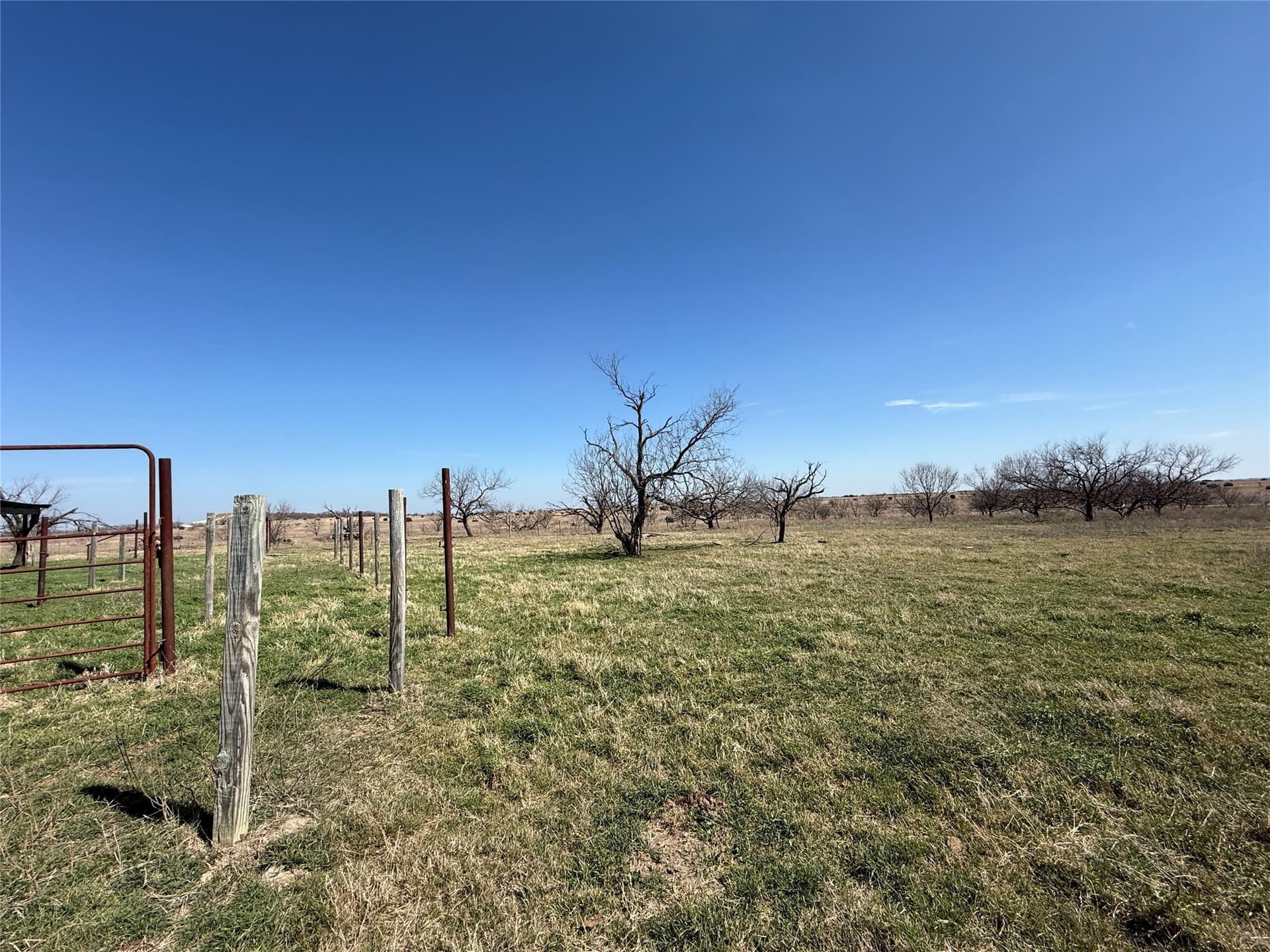46 acres in Hamilton County - photo 10