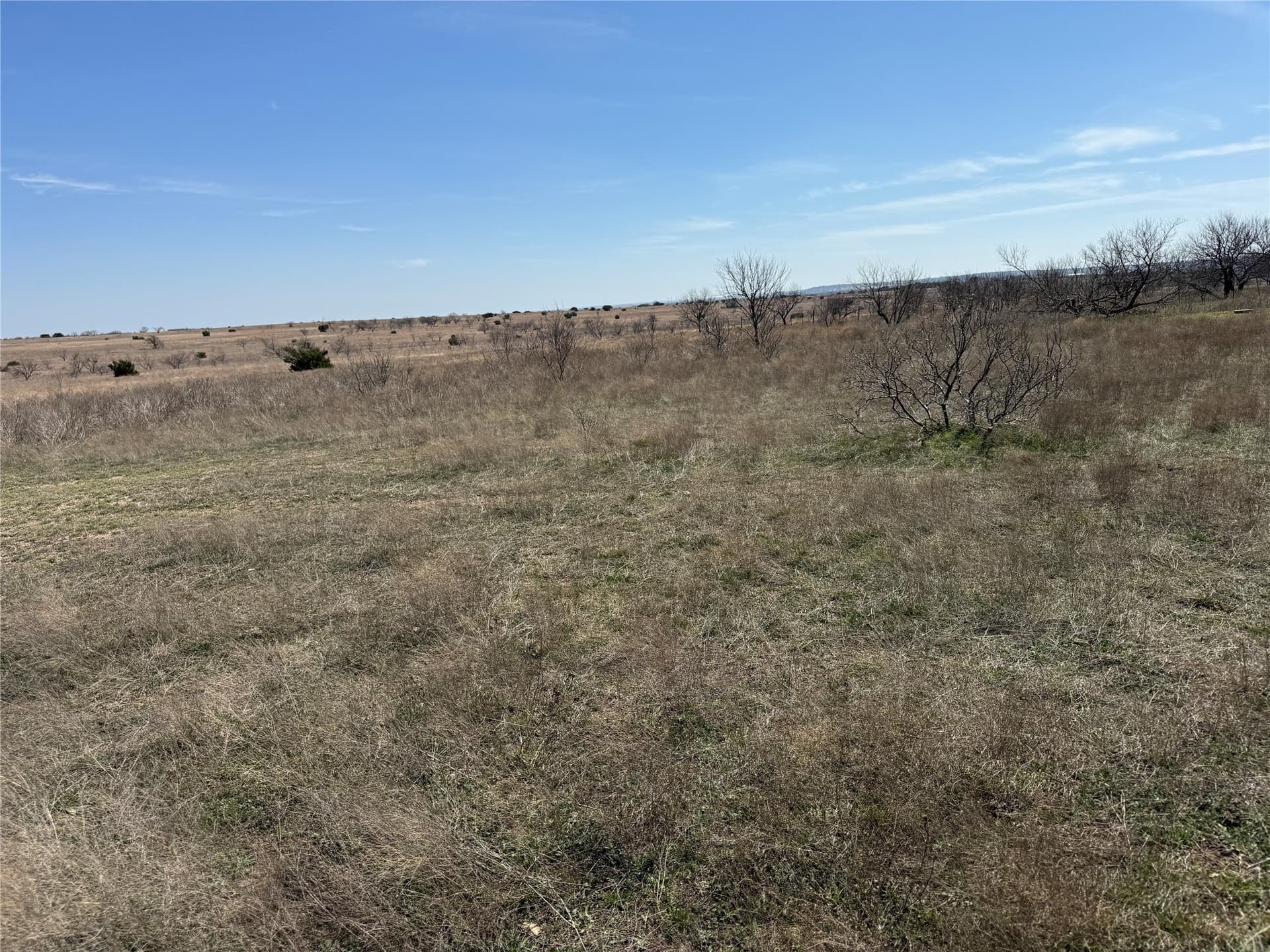 46 acres in Hamilton County - photo 17