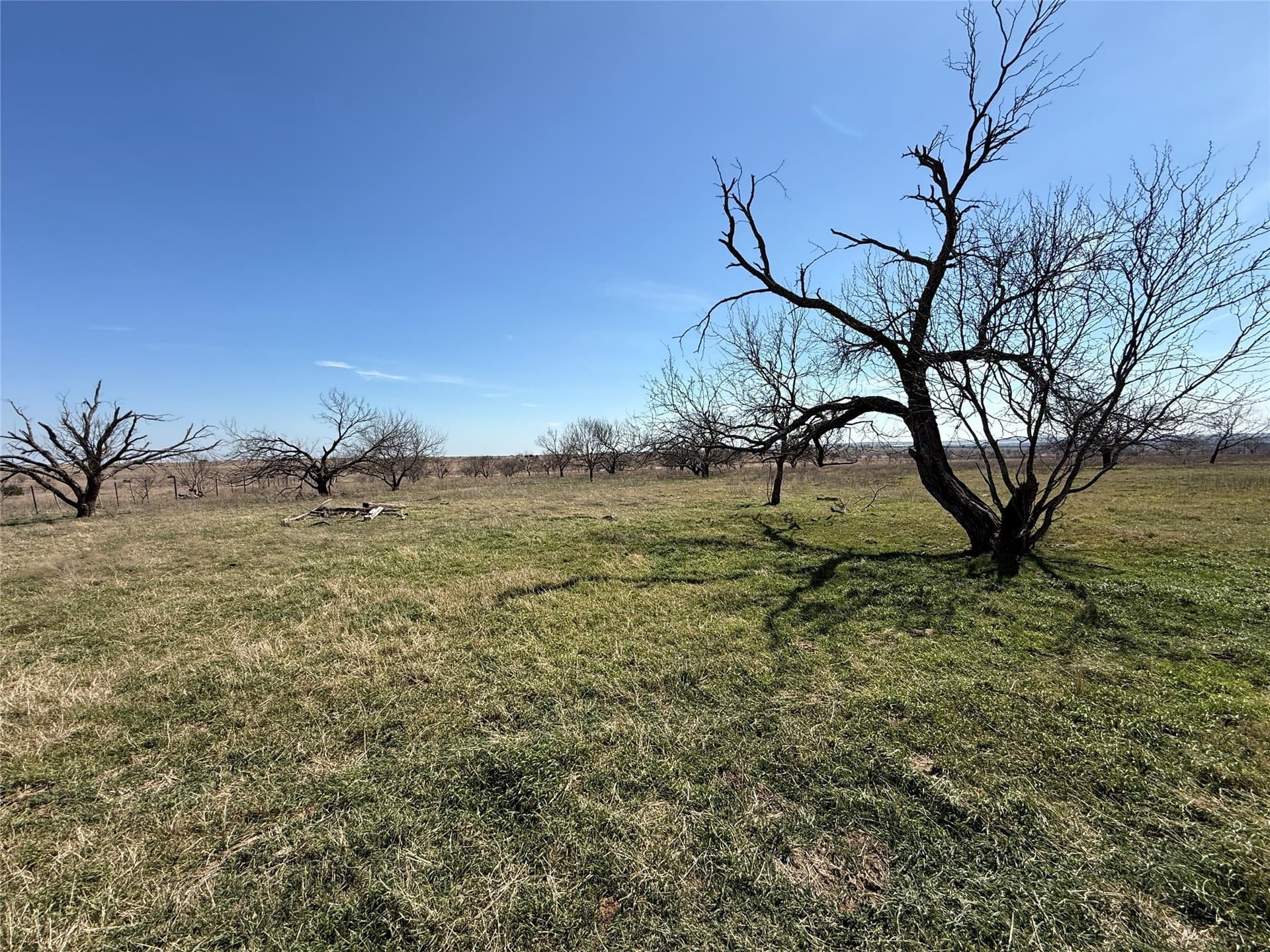 46 acres in Hamilton County - photo 11