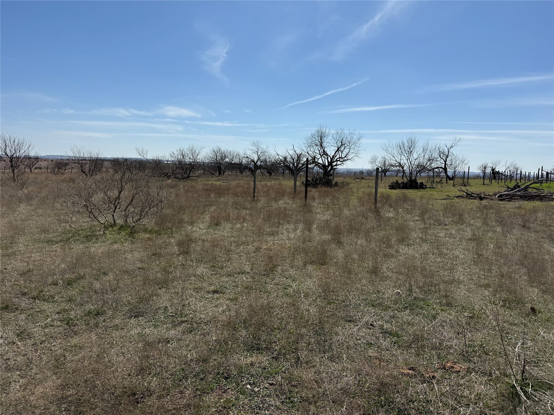 46 acres in Hamilton County - photo 19