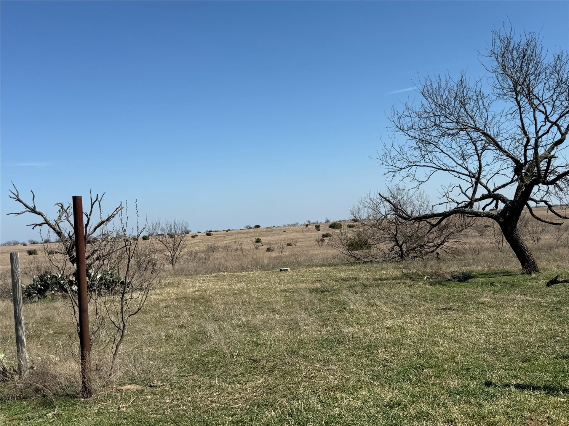 46 acres in Hamilton County - photo 13