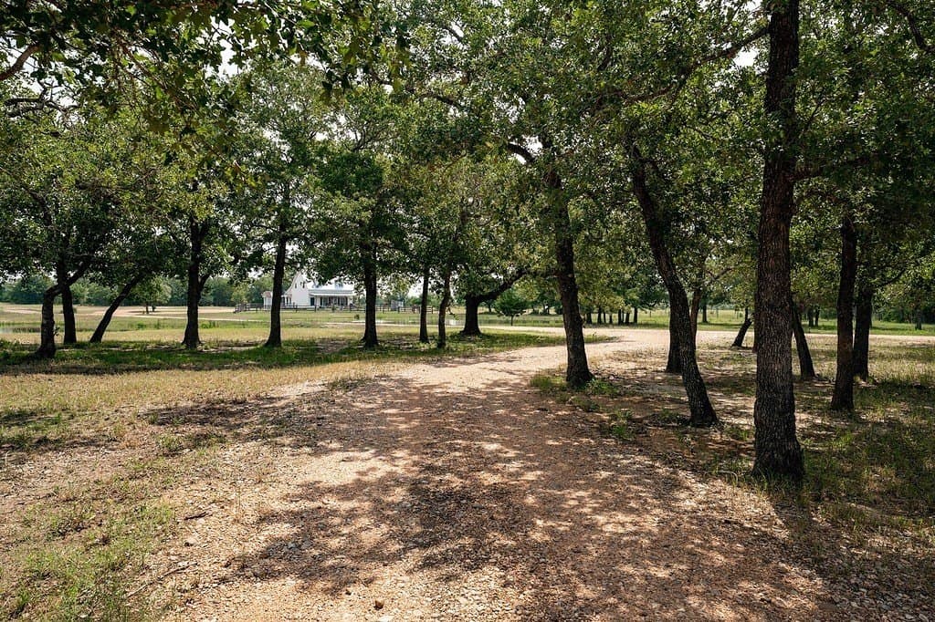 12.52 acres in Fayette County - photo 10