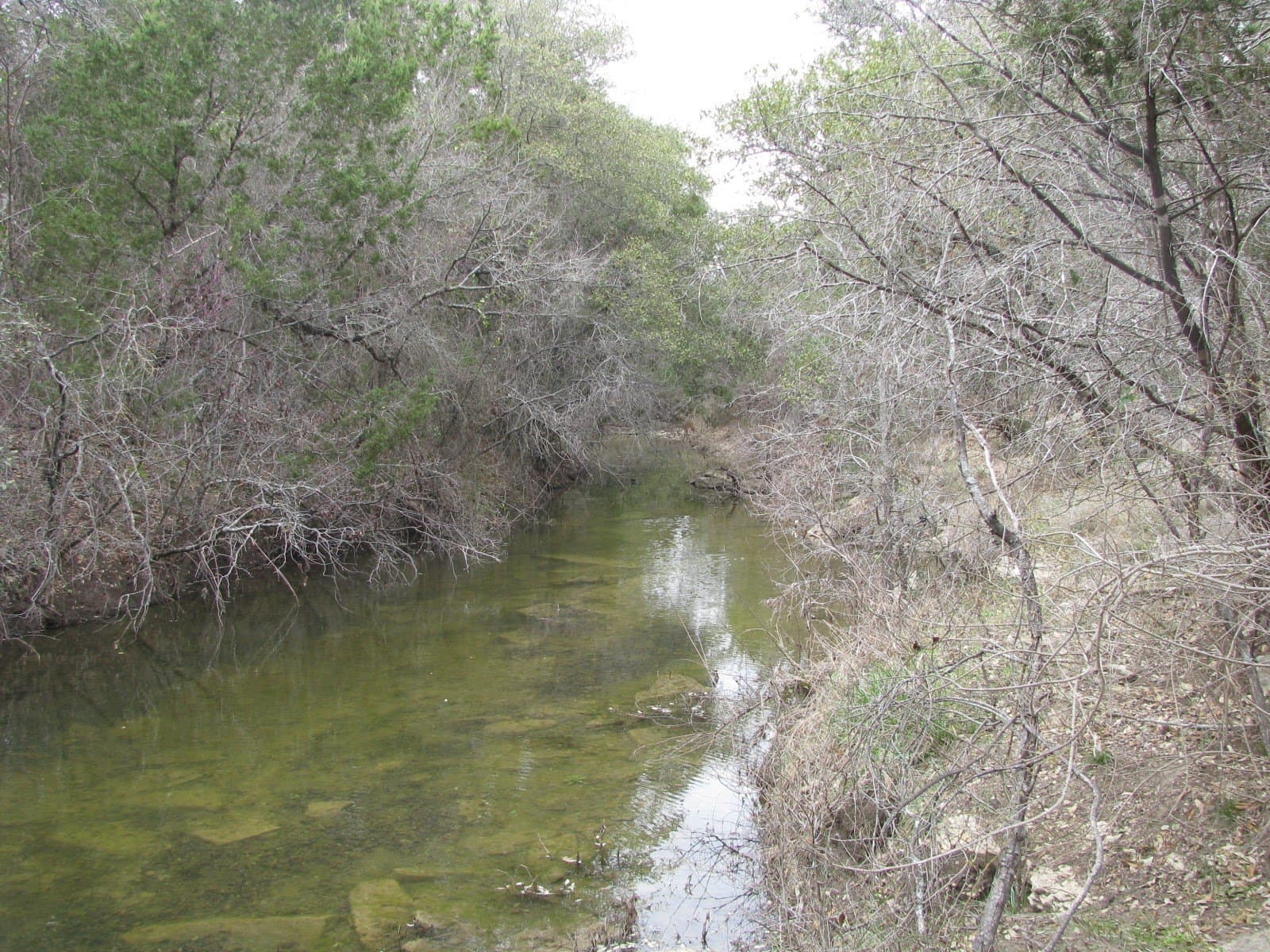 48 acres in Coryell County - photo 7