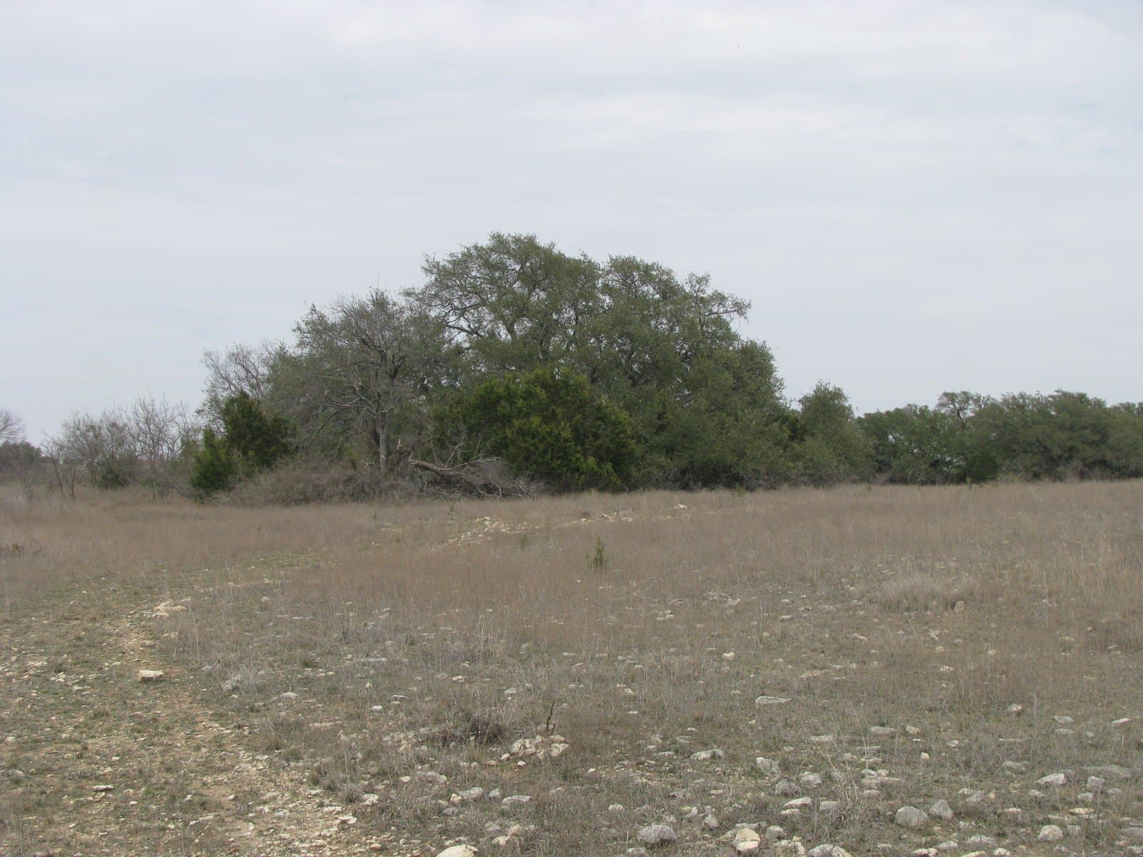 48 acres in Coryell County - photo 19