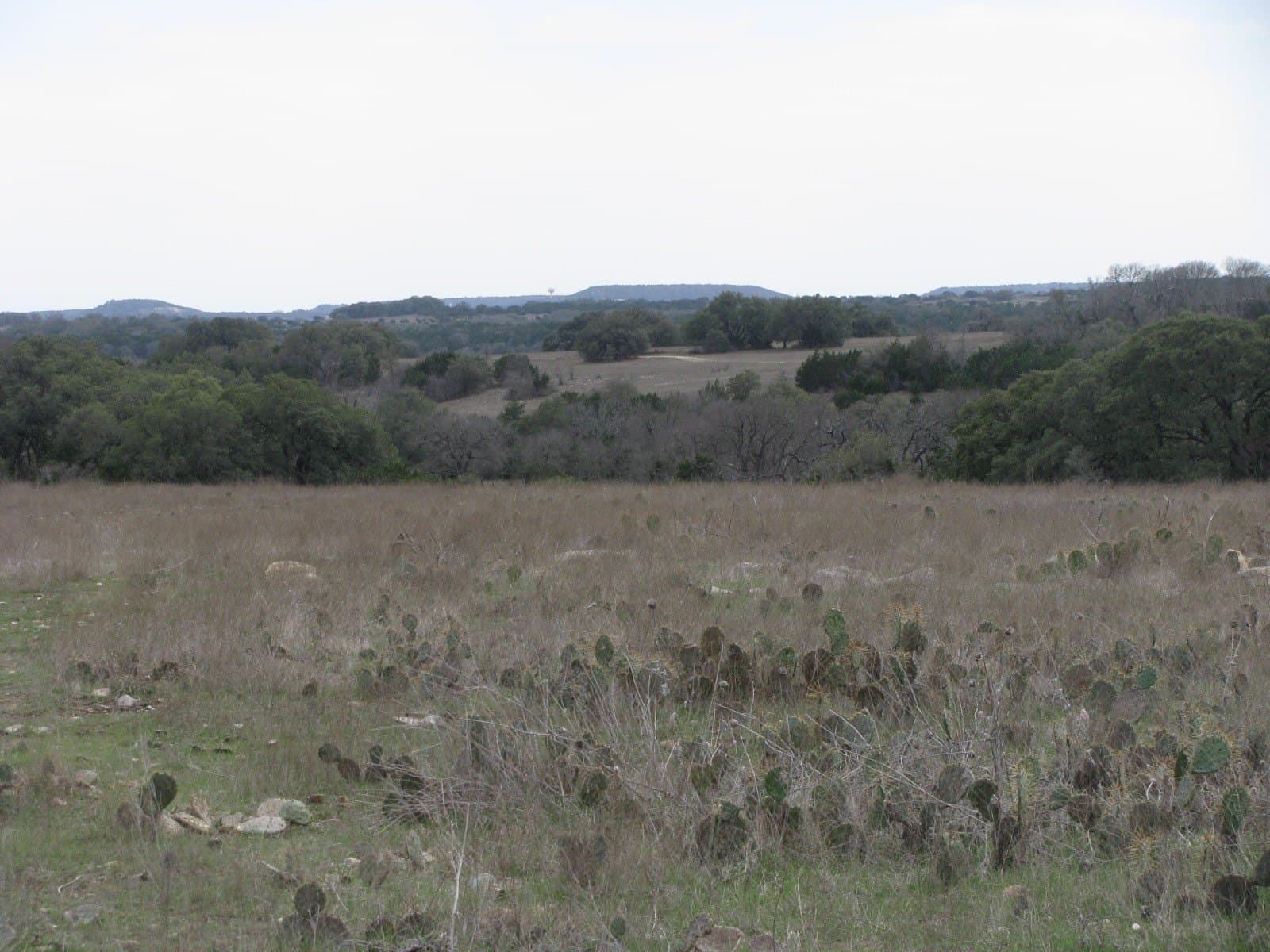 48 acres in Coryell County - photo 17