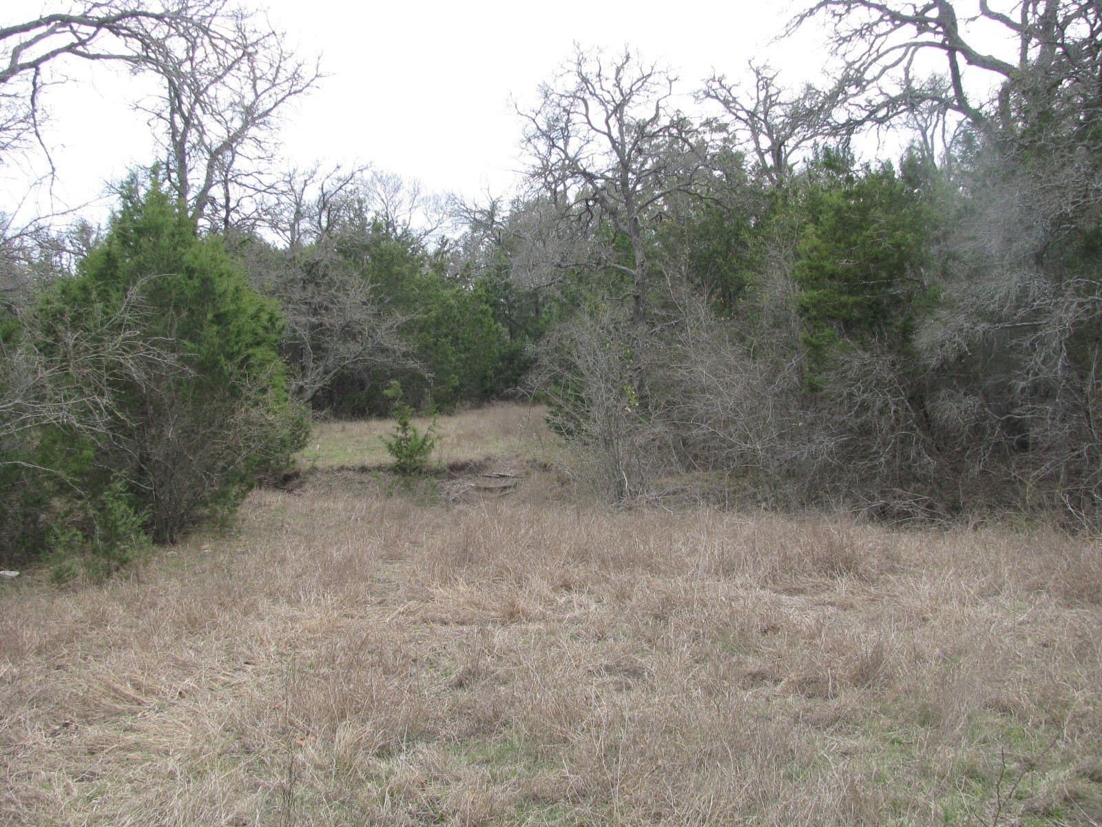 48 acres in Coryell County - photo 22