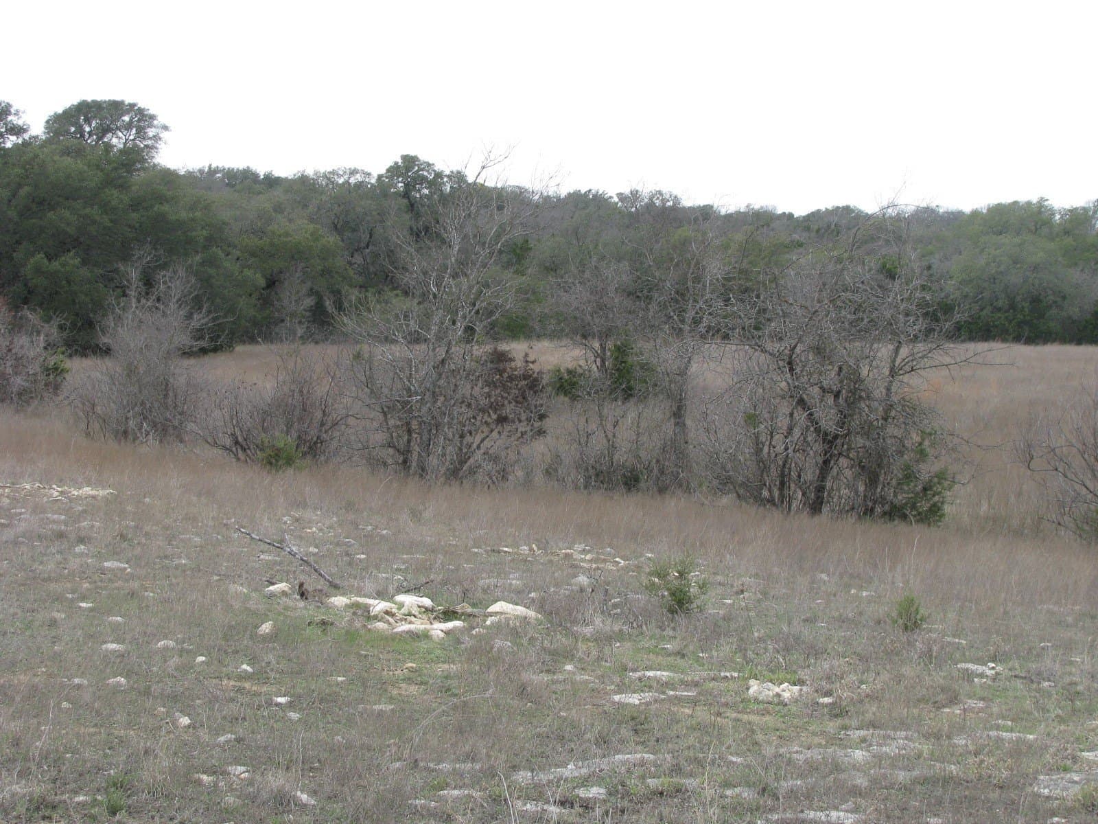 48 acres in Coryell County - photo 21