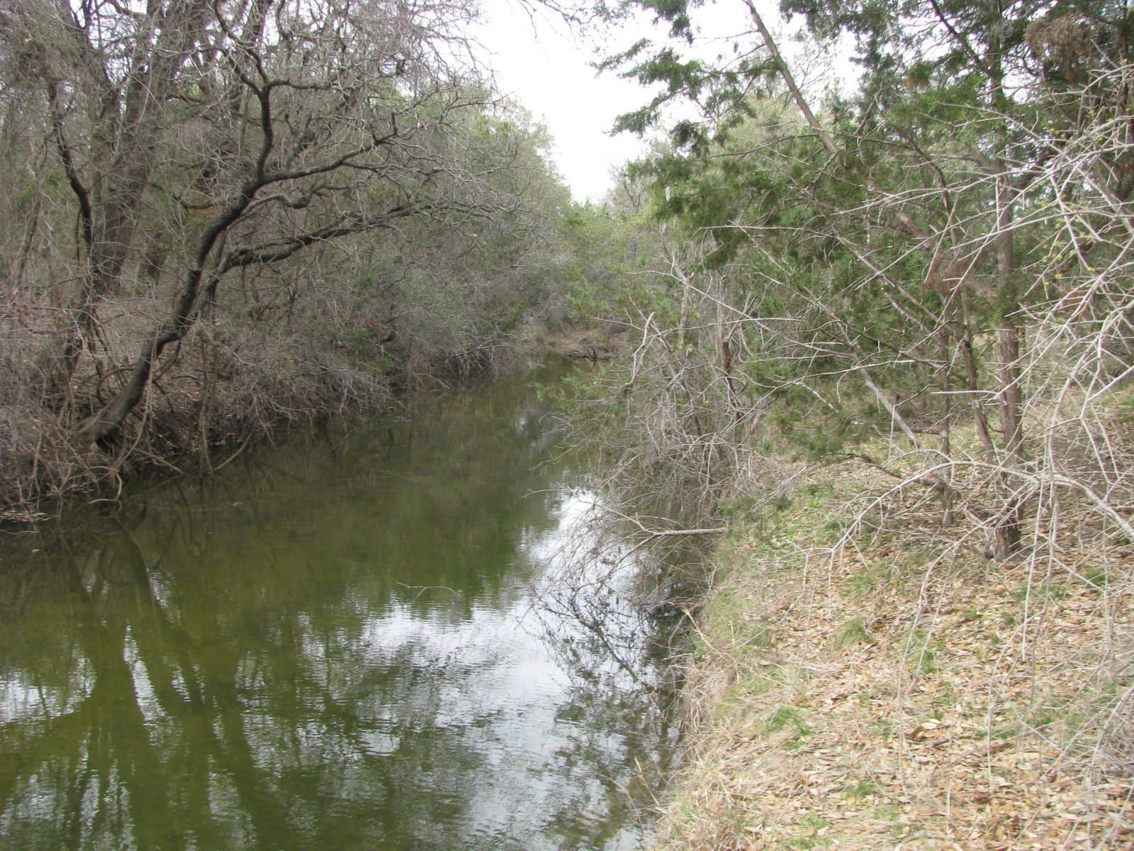 48 acres in Coryell County gallery image 2