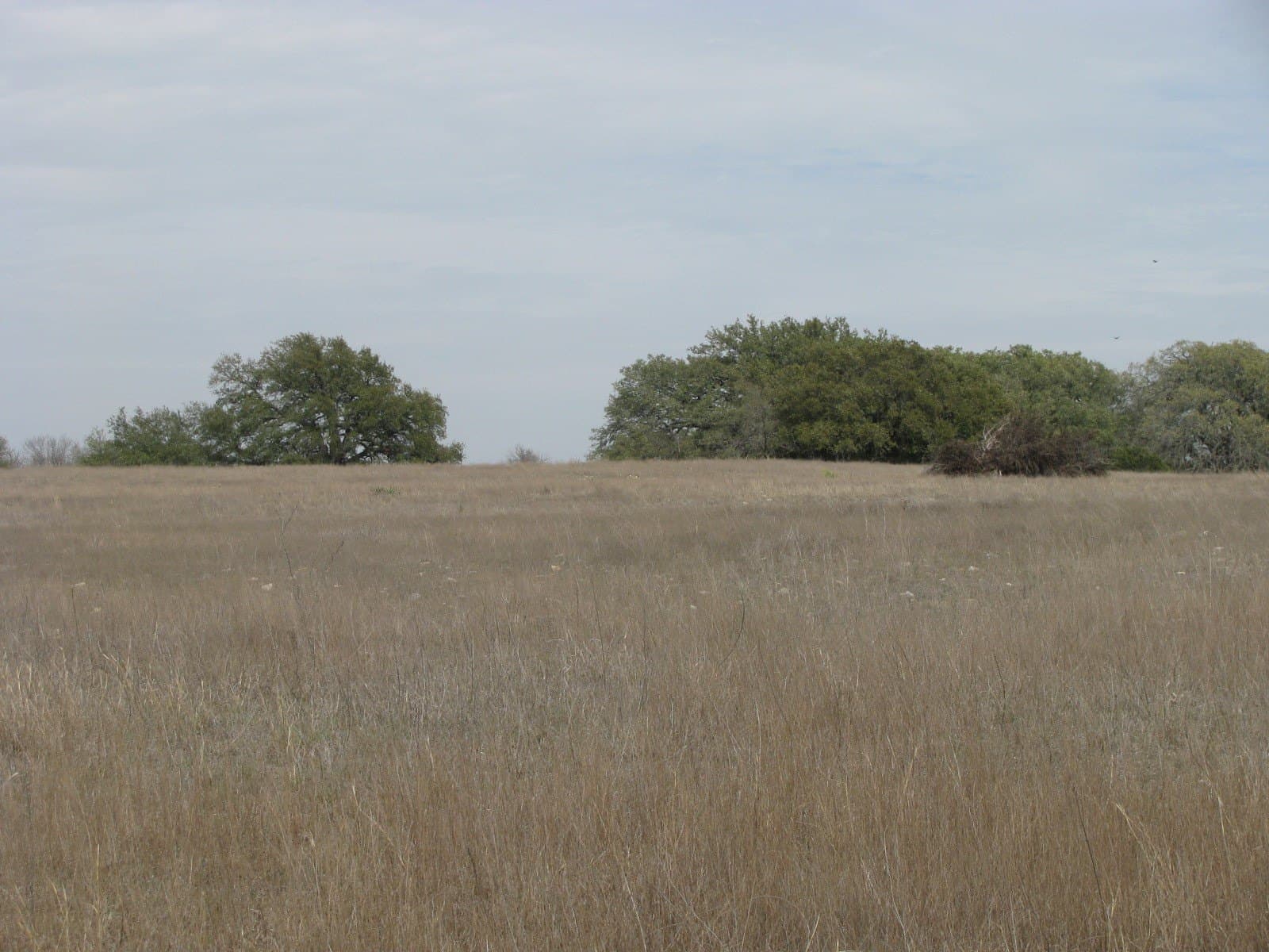 48 acres in Coryell County - photo 23