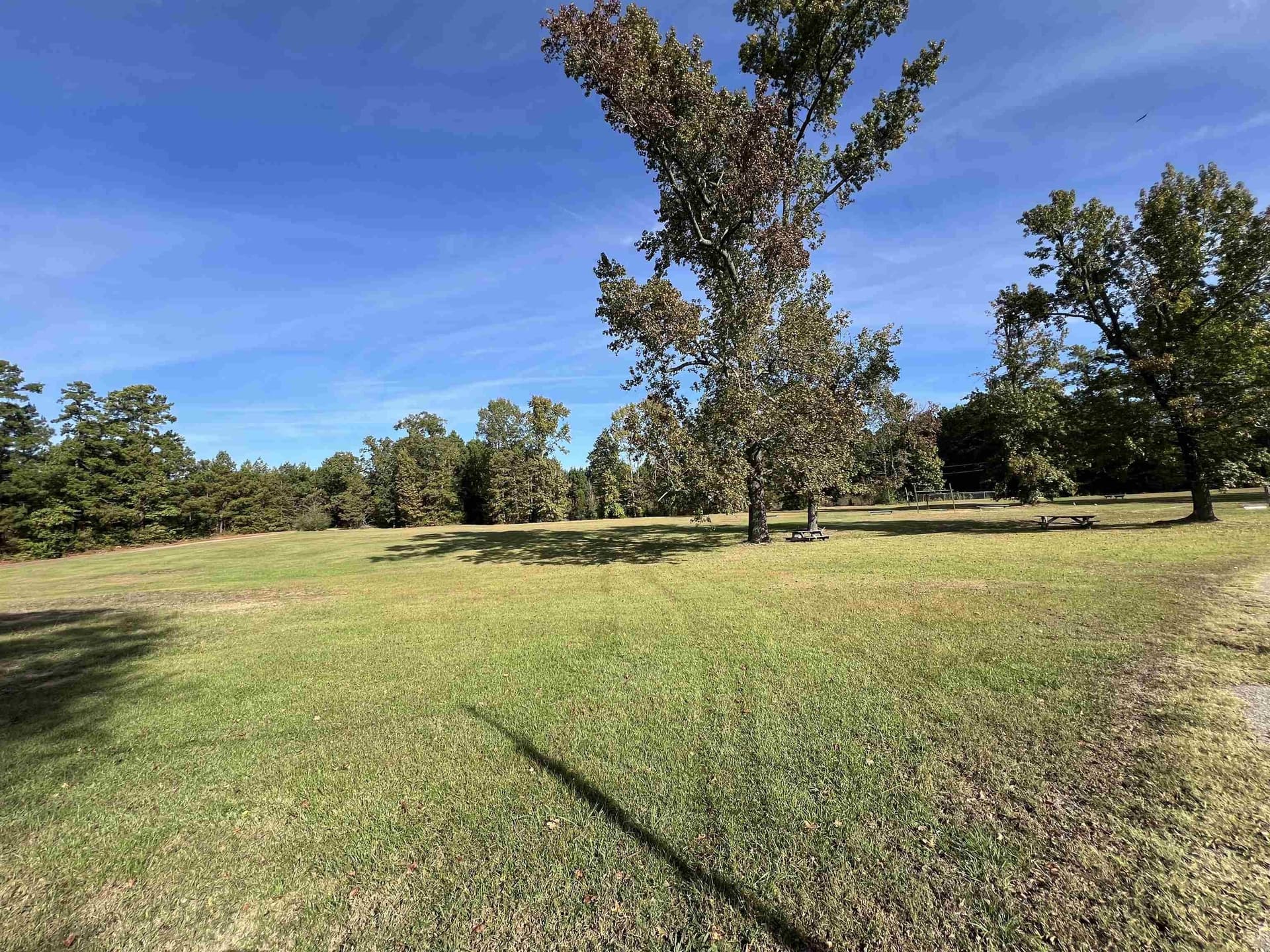 27.01 acres in Texas County gallery image 3