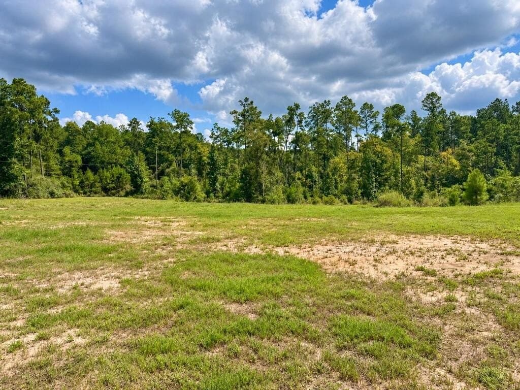 13.33 acres in Texas County - photo 8