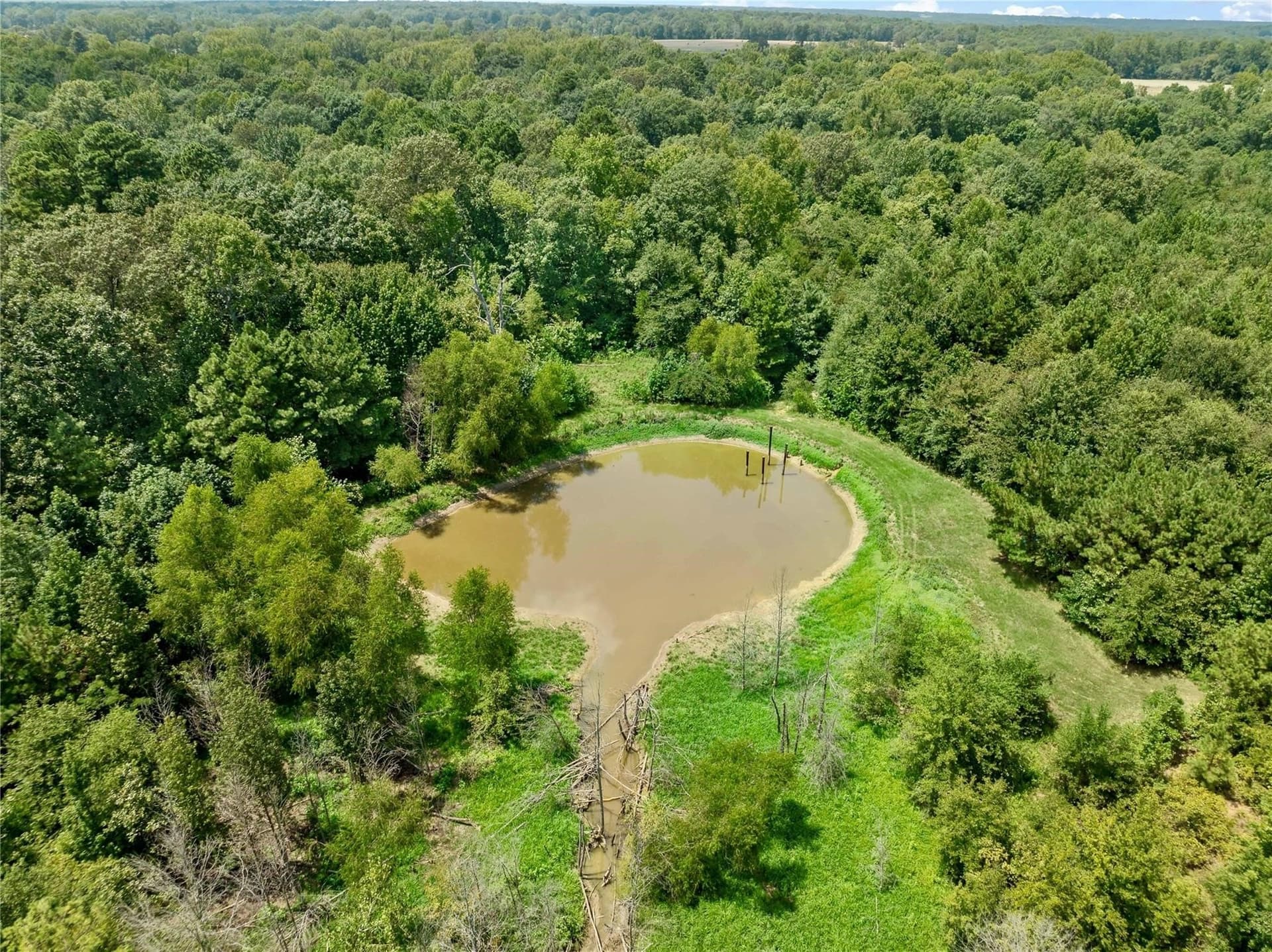 53.13 acres in Red River (TX) County - photo 23