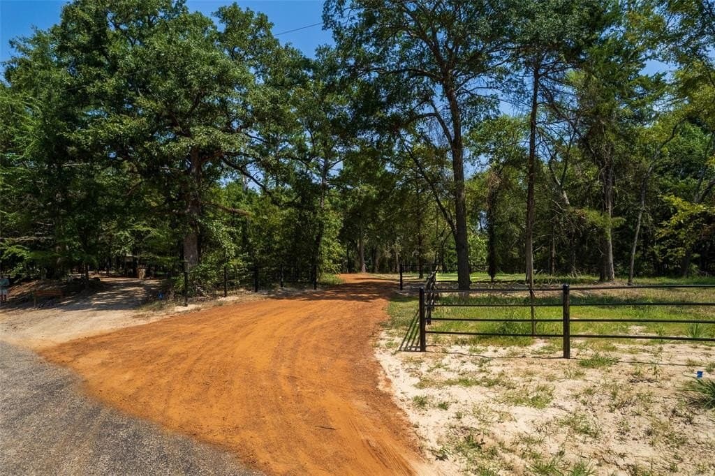 1.28 acres in Camp County gallery image 4