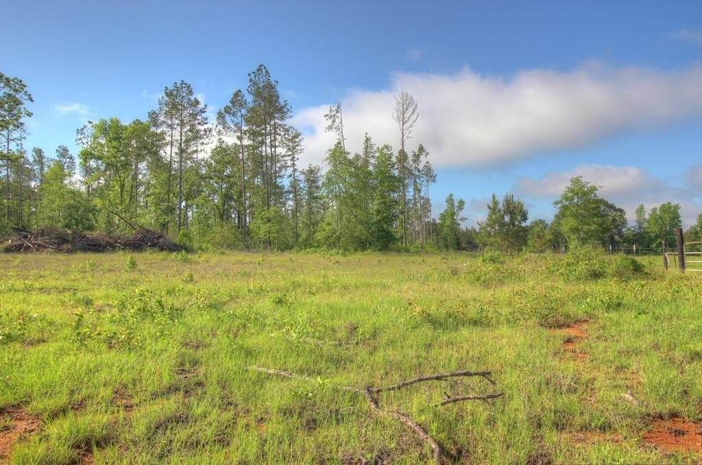 18.47 acres in Texas County featured view