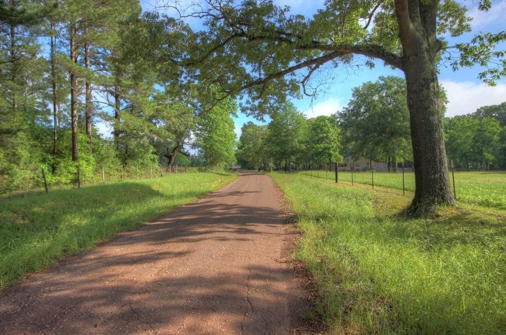 18.47 acres in Texas County gallery image 2