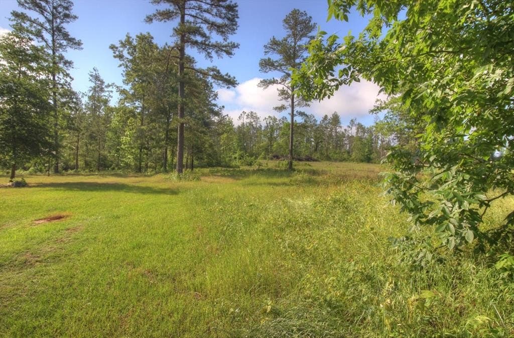 18.47 acres in Texas County gallery image 4