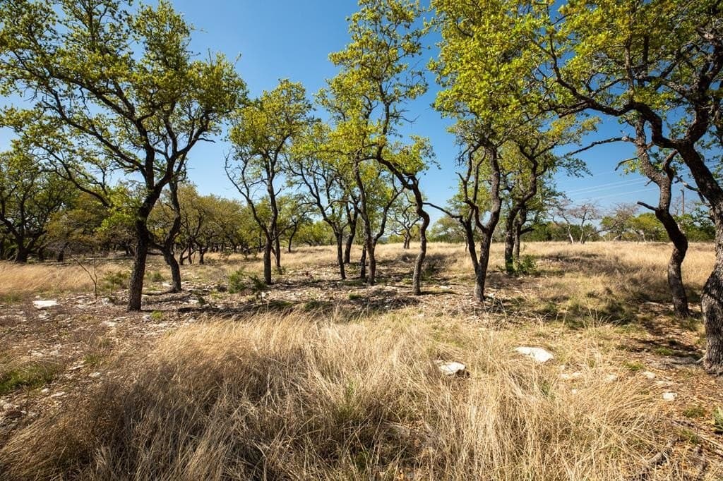 10.03 acres in Gillespie County gallery image 3