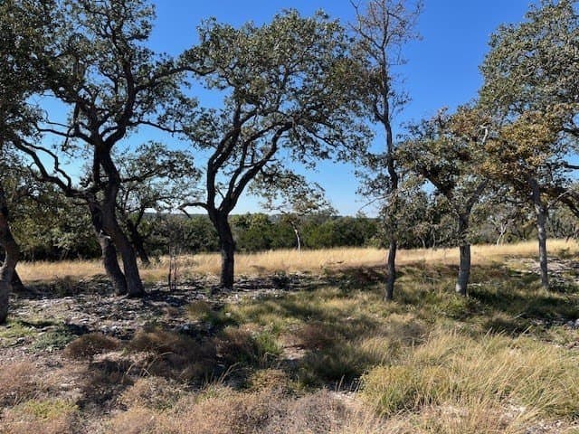 10.03 acres in Gillespie County featured view