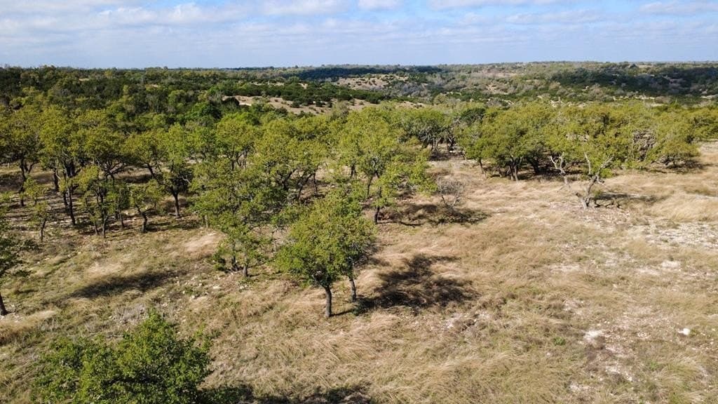 10.03 acres in Gillespie County gallery image 2