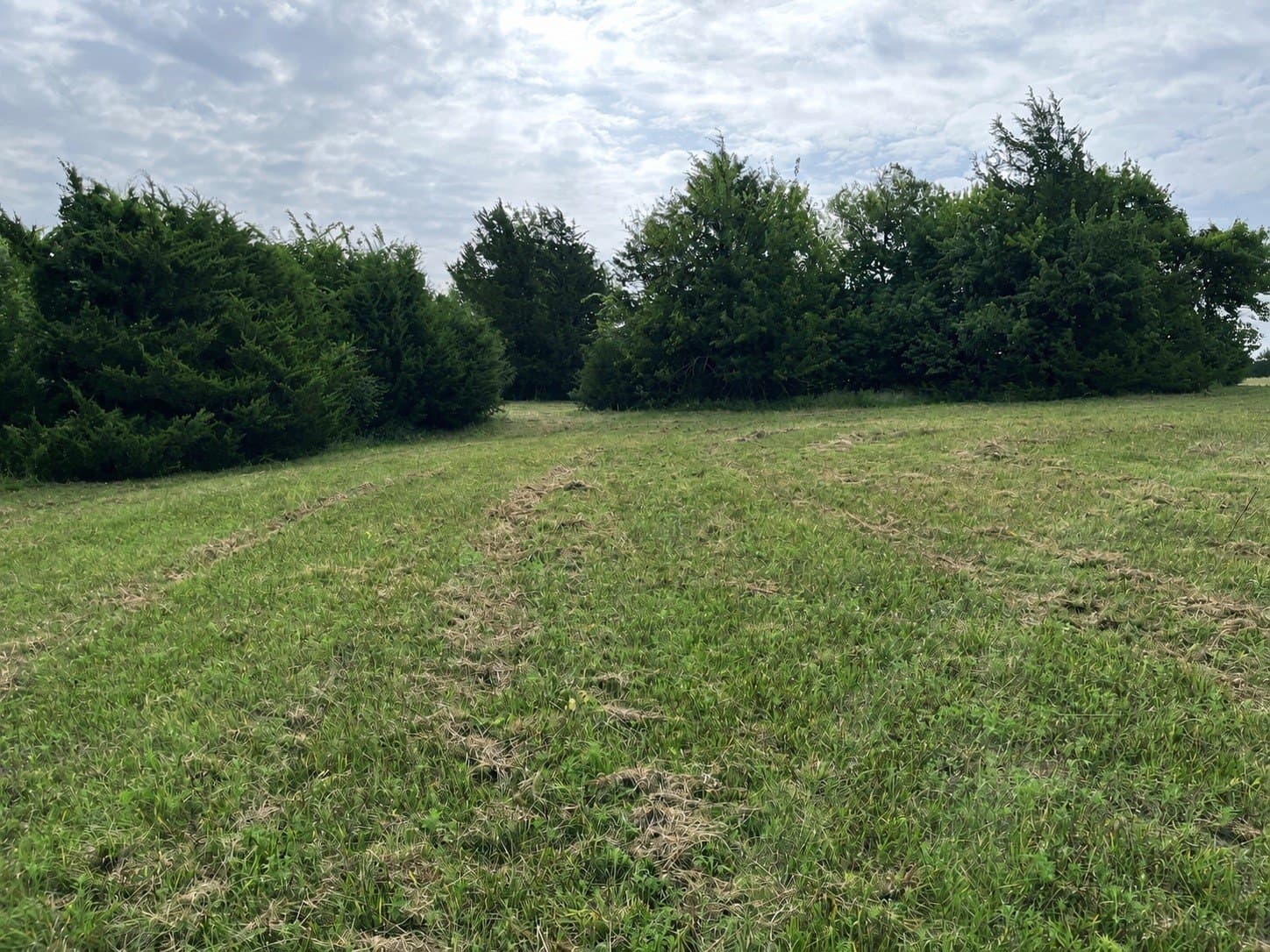 64.43 acres in Grayson County - photo 31