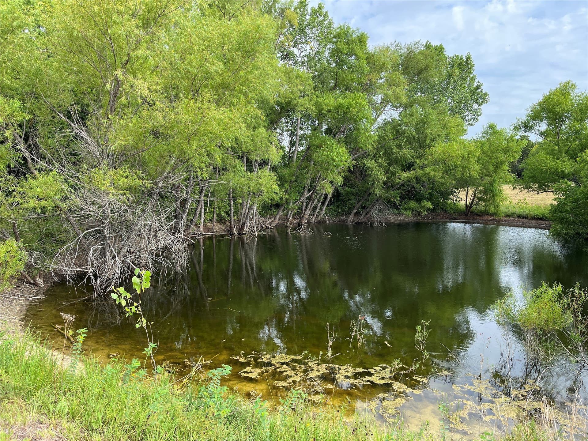 64.43 acres in Grayson County - photo 27