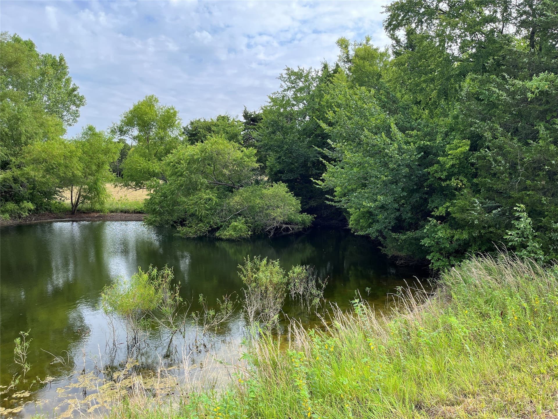 64.43 acres in Grayson County - photo 28