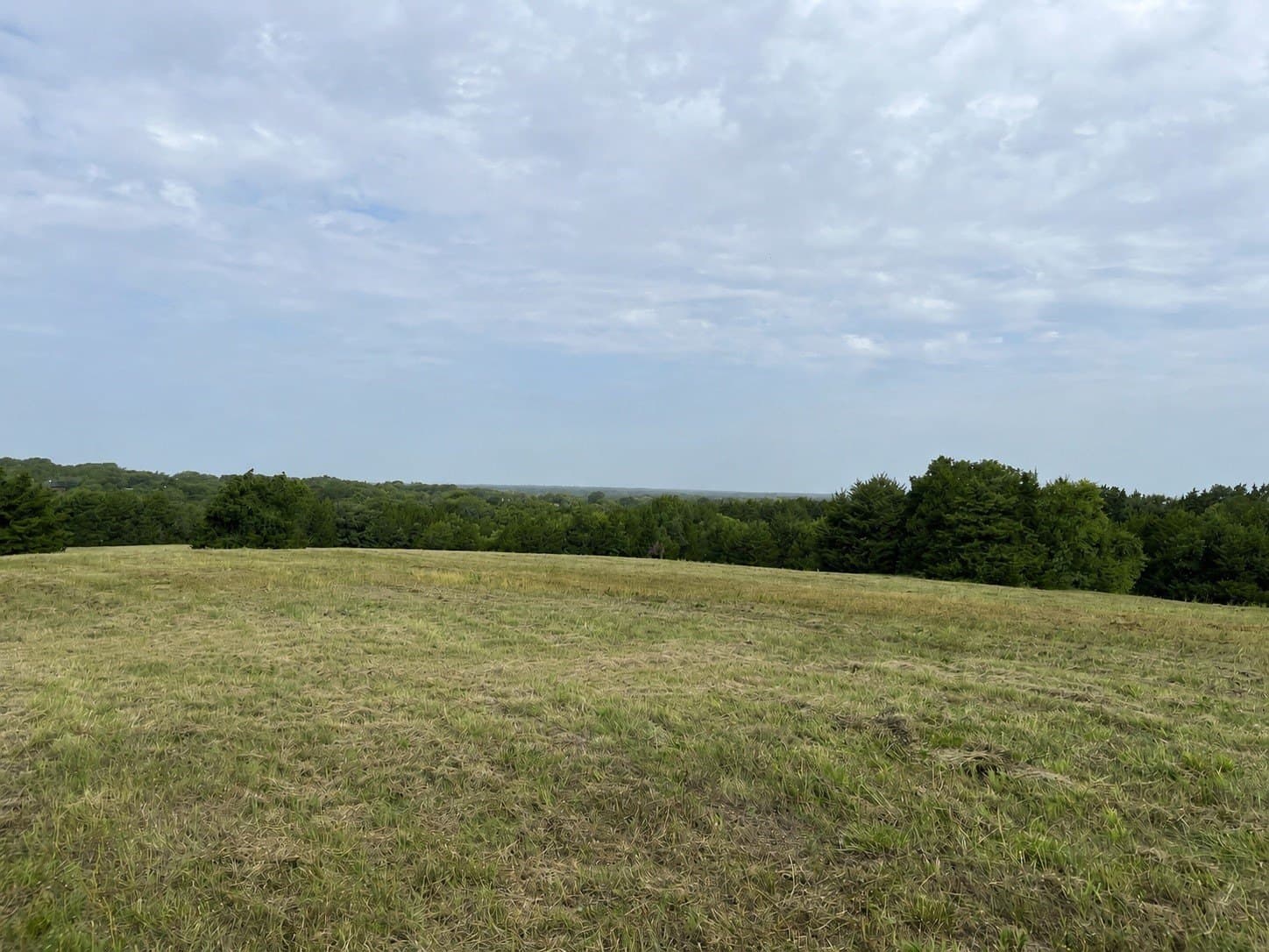 64.43 acres in Grayson County - photo 34